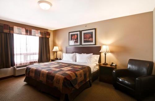 Camrose Hotel | Canalta Hotel Camrose