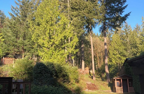 Shawnigan Lake Ski Chalet | Chalet Style Cottage near Shawnigan Lake