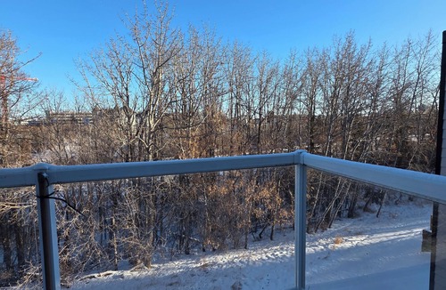 Red Deer Apartment | Charming 1-Bedroom Apartment - Great Hotel Alternative!