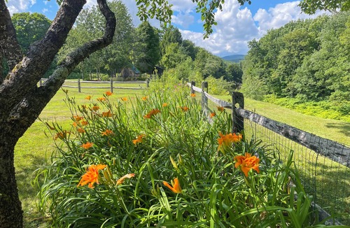 Weston Cottage | CHARMING 4-bedroom cottage in Weston, Vermont. CLOSE TO SKI RESORTS