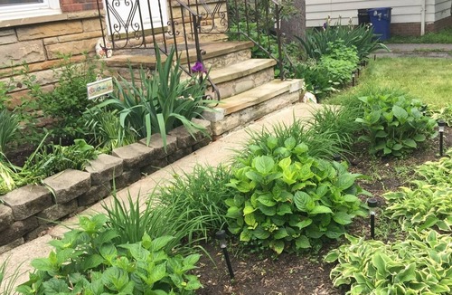 Cleveland Heights House | Charming Stone Cottage-20 min to CCF/CWRU/UH