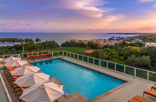 Coconut Grove Apartment | Chic Grove Suite | Steps to Peacock Park