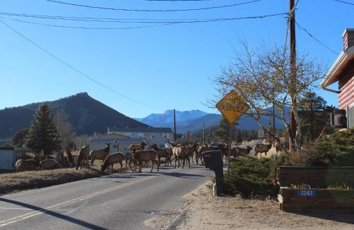 Estes Park Hotel | Colorado Cottages