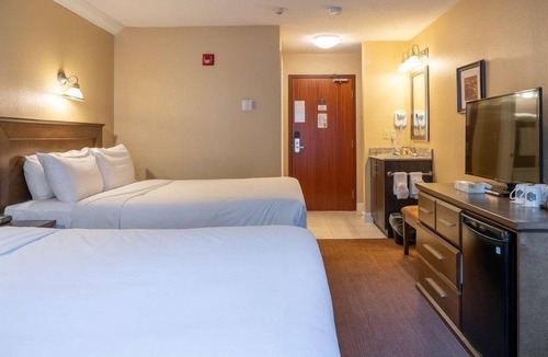 Banff Hotel | Comfy Room Along Banff Ave! Air-Conditioning