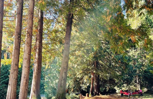 Shawnigan Lake Cottage | Cottage at Shawnigan Lake