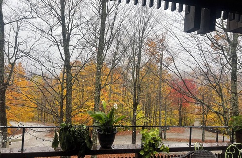 Plymouth Condo | Cozy 3-bedroom condo located in Plymouth, VT . 12 miles to Okemo mountain-