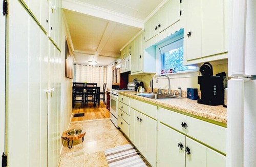 Cranmore Birches Cabin | Cozy dog friendly cabin moments from Cranmore/NOCO
