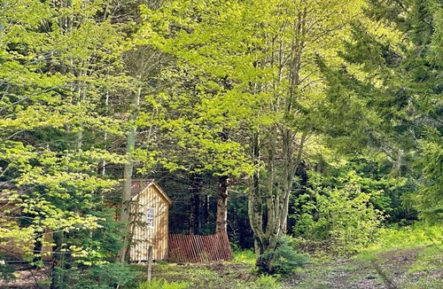 Barton House | Cozy Off-Grid Cabin with Breathtaking Serene Views for a Peaceful Getaway Surrounded by Nature in Barton, Vermont