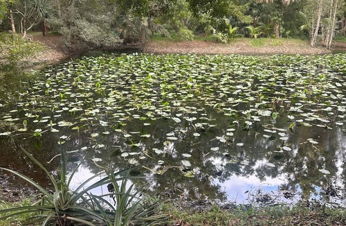 Loxahatchee Groves Apartment | Cozy one bedroom guest house on peaceful 5 acre mango farm in Loxahatchee .