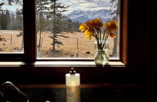 Division No. 14 Cabin | Cozy rustic cabin only 45 minutes from Jasper! Pet friendly.