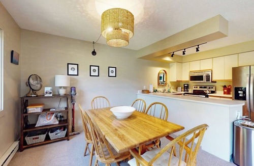 North Troy Condo | Cozy Ski-in/Ski-out condo w/balcony, mountain views, gas fireplace, w/d, wifi
