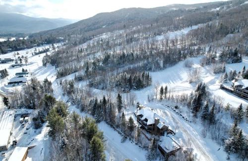 Carroll Villa | CR1 Top Rated Ski-In Ski-Out Townhome Great views fireplaces fast wifi AC - Short walk to slopes