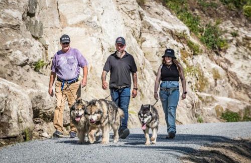 Division No. 9 Apartment | Creekside Haven on a Sleddog Farm
