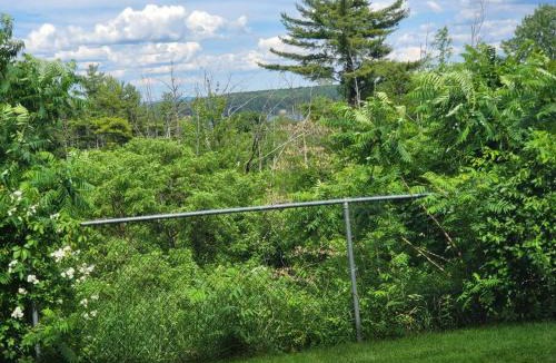 Weirs Beach Apartment | Cute 2 bdrm Condo walking distance to Weirs Beach!