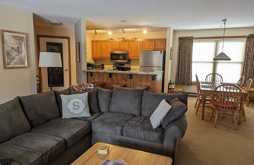North Woodstock Condo | Deer Park River View Condo with AC