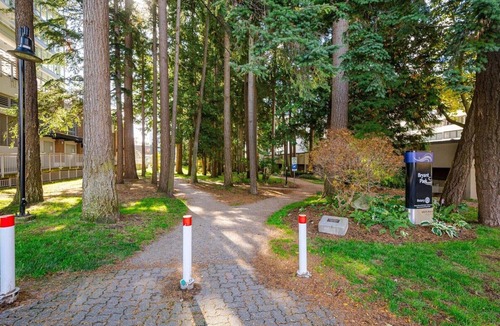 White Rock Apartment | Do Not Publish!