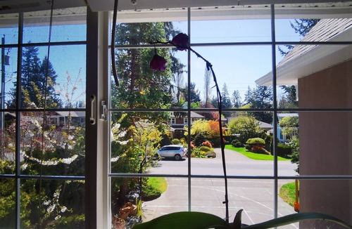 Cordova Bay House | Eagle's guest suits: two bedrooms living room private kitchen and full washroom