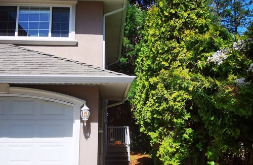 Cordova Bay House | Eagle's guest suits: two bedrooms living room private kitchen and full washroom