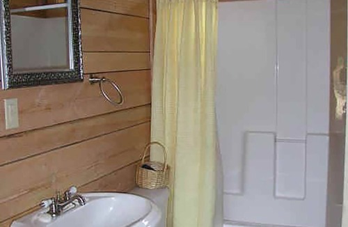 Lake City House | Elk Log Home 4 bed 2 bath W/D