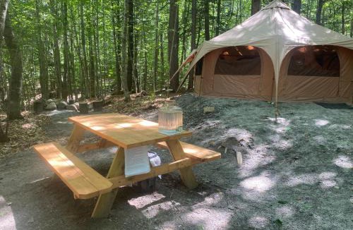 Lovell Other | Evergreen Yurt