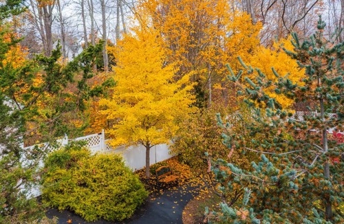 Newcastle Bed & Breakfast | Graceful and inviting, The Serenity Garden Suite No Cleaning Fee