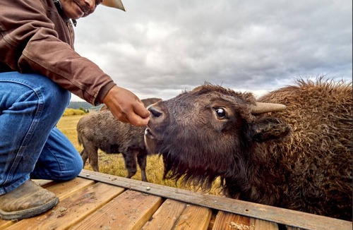 Sublette County Cabin | Grandma`s Over-The-River Cabin on a Working Wyoming Ranch