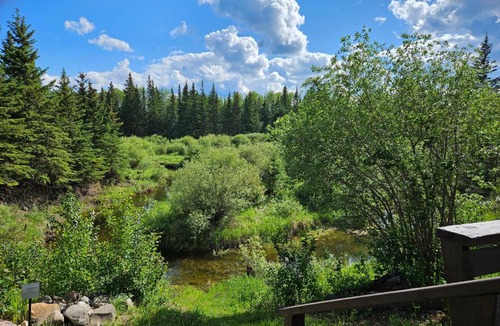 Northern Alberta Other | Hidden Creek Cabin