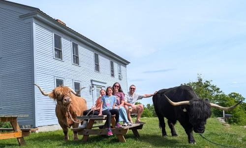 Loudon Apartment | Highland Cattle Farm - Cozy Studio - B