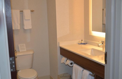 Rochester Hotel | Holiday Inn Express & Suites Rochester by IHG