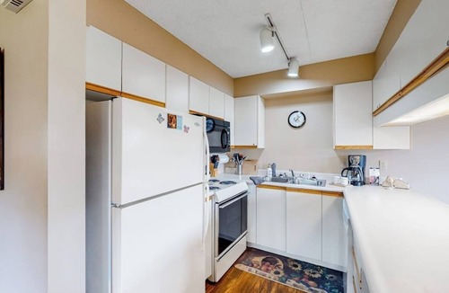 North Troy Condo | Inviting ski-in/out condo with mountain view, fireplace, deck & washer/dryer