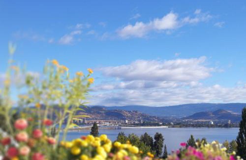 Lakeview Heights Bed & Breakfast | Lakeview Oasis Bed and Breakfast