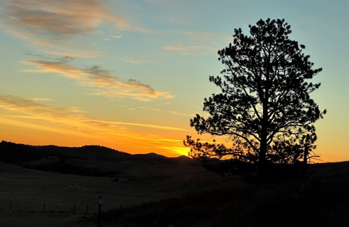 Hill City Cabin | Located right in the middle of The Black Hills
