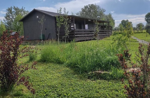 Lovell Cabin | Lone Wolf Cabin at Wolf Haven Cabins