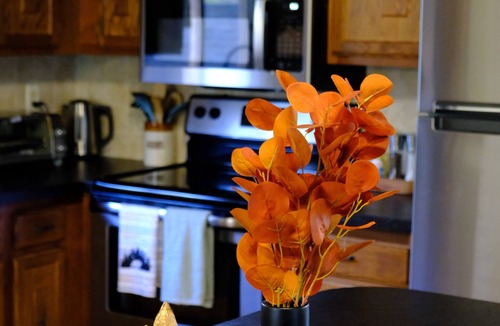Jackson Ski Chalet | Loose Moose Lodge – Family chalet, fireplace, ski!