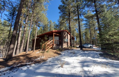 Jemez Springs Cabin | Lovely 2 Bedroom Cabin in the Woods