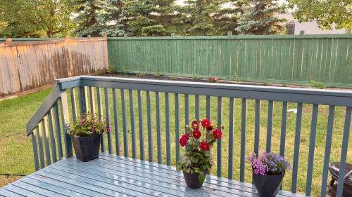 Northwest Edmonton House | Lucas Cozy basment 1
