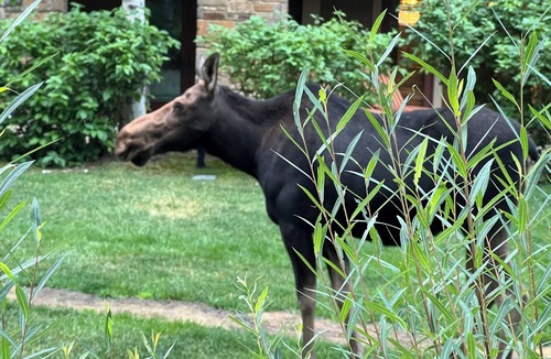 Teton Village Resort | Luxurious 3 BR, 3 Bath Villa located within Four Seasons Jackson Hole Resort
