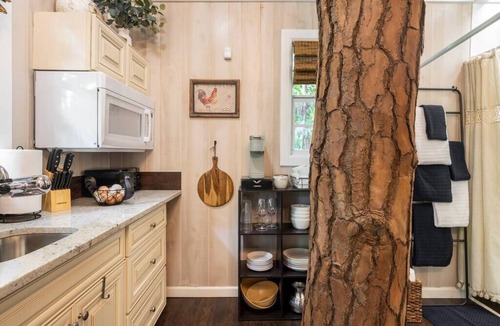 Palm Beach Country Estates Cabin | Luxurious Modern Treehouse with Mineral Pool/Spa