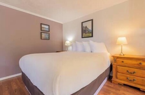 Alert Bay Cabin | (M) Deluxe Double Bedroom Cabin (non pet friendly)