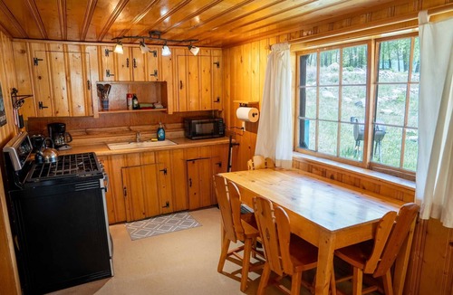Lake City Cabin | Marshall's Cabin at Vickers - Great Location Along the Lake Fork of the Gunnison