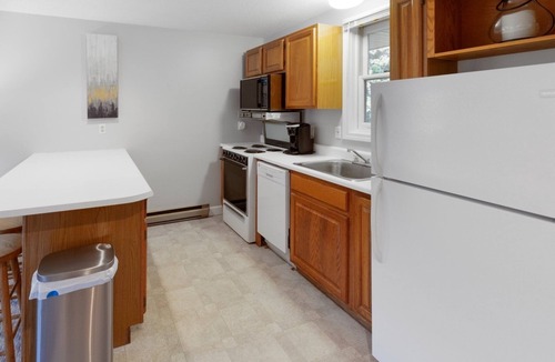 Gilford Condo | Marty's Bay- Updated 1-bedroom w/Lake Access