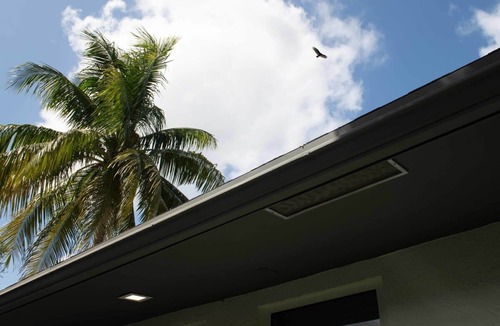 Poinciana Park Hotel | Modern Apt | Near Airport, Cruise & Downtown