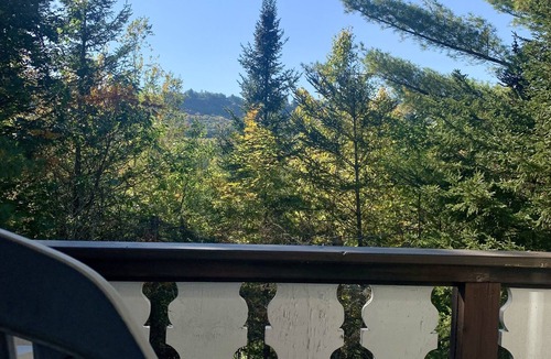 Bartlett Ski Chalet | Mountain Chalet -Storyland & Outdoor fun awaits! Hiking, golf, shopping, dining!