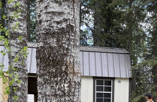 Niton Junction RV Rental | MYST Resort