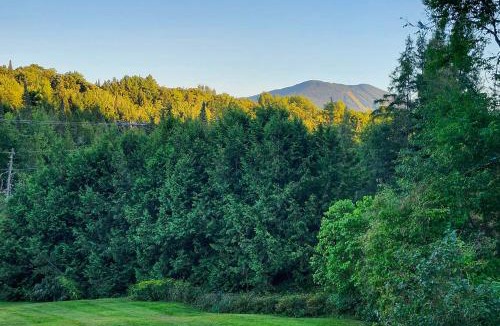 East Burke House | Near Trails & VAST Access! Modern Burke Home Base