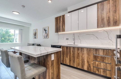 Downtown Vancouver Apartment | NEW BUILDING -Pet Allowed 1 BR@1168 Pendrell