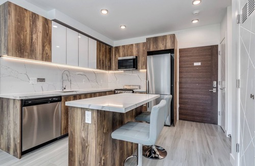 Downtown Vancouver Apartment | NEW BUILDING -Pet Allowed 1 BR@1168 Pendrell