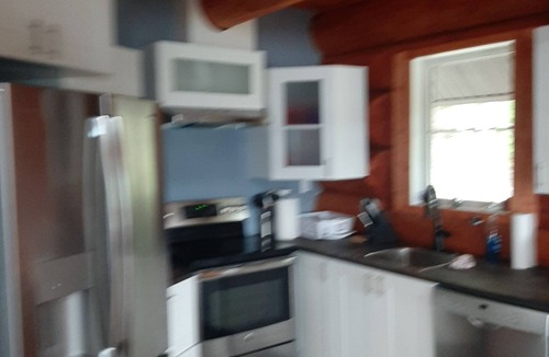 Anglemont House | Newer athentic Log home