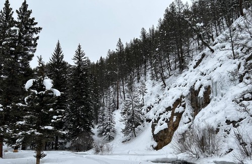Almont House | Newly Renovated Creekside Cabin!