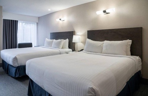 Banff Hotel | Newly Renovated Room in Banff! Air-Conditioning